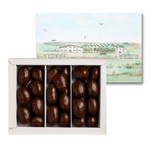 ASTUCCIO DOLCESANO - ALBICOCCA E MANDORLA - RICOPERTA AL CIOCCOLATO