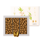 ASTUCCIO QUASANI - MANDORLINO DI TORITTO: ZENZERO