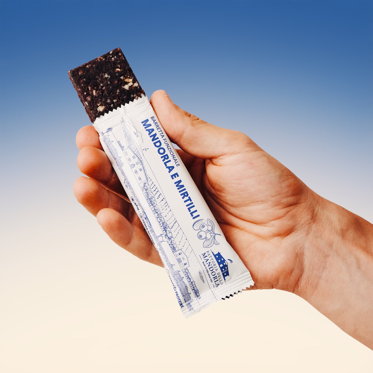 BARRETTA BIO PROTEICA MIRTILLO 48g