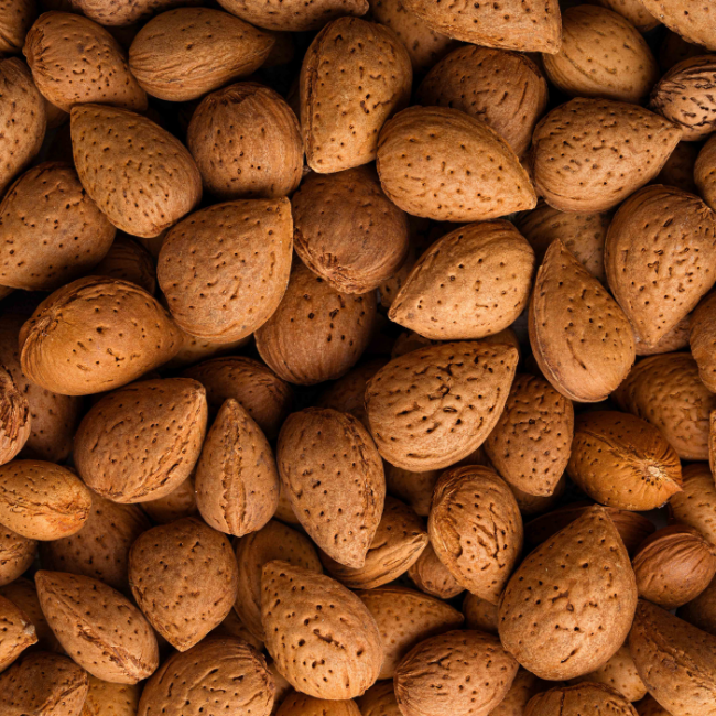 MANDORLA IN GUSCIO - 500gr